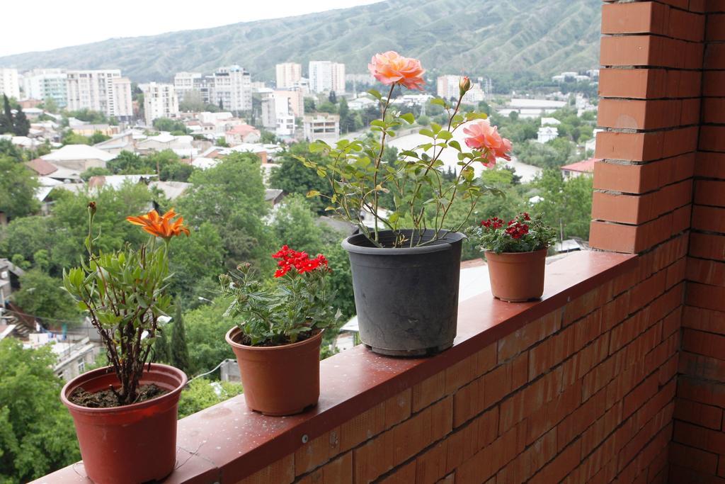 My House Is Your Hotel Tiflis Oda fotoğraf